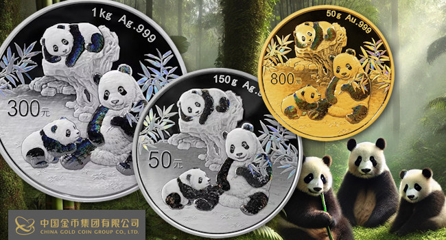 China Panda 2025 in Polierter Platte